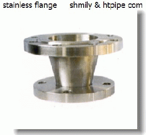stainless SS 316 flange