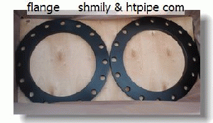 duplex stainless SS 2205 S31803 flange