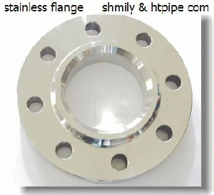 stainless SS 254S MO S31254 flange