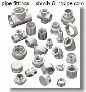 stainless SS 316L pipe fittings