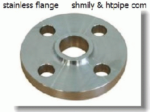 stainless SS 304 flange