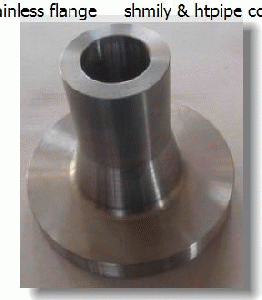 stainless SS 348 flange