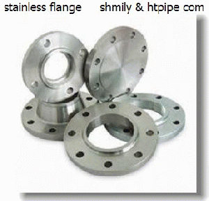 stainless SS 317L flange